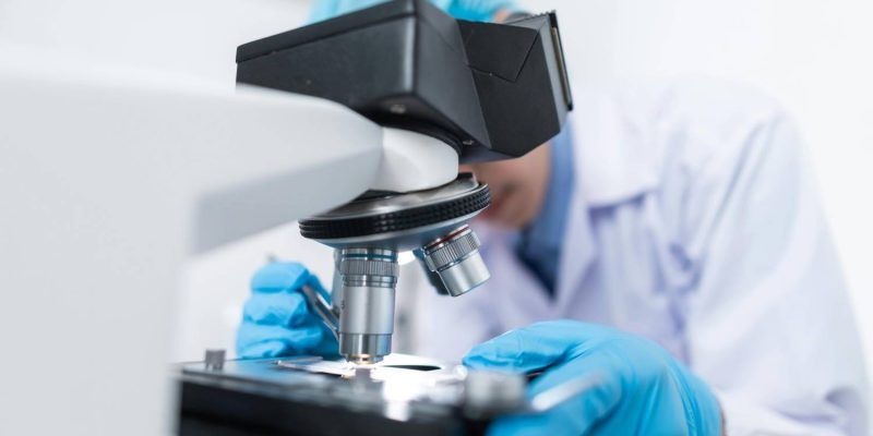Sedes del Instituto Milenio de Biología Integrativa (iBio)     
