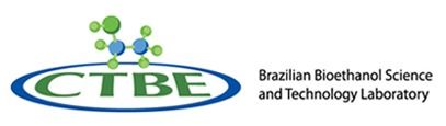 Becas Universitarias Brasil