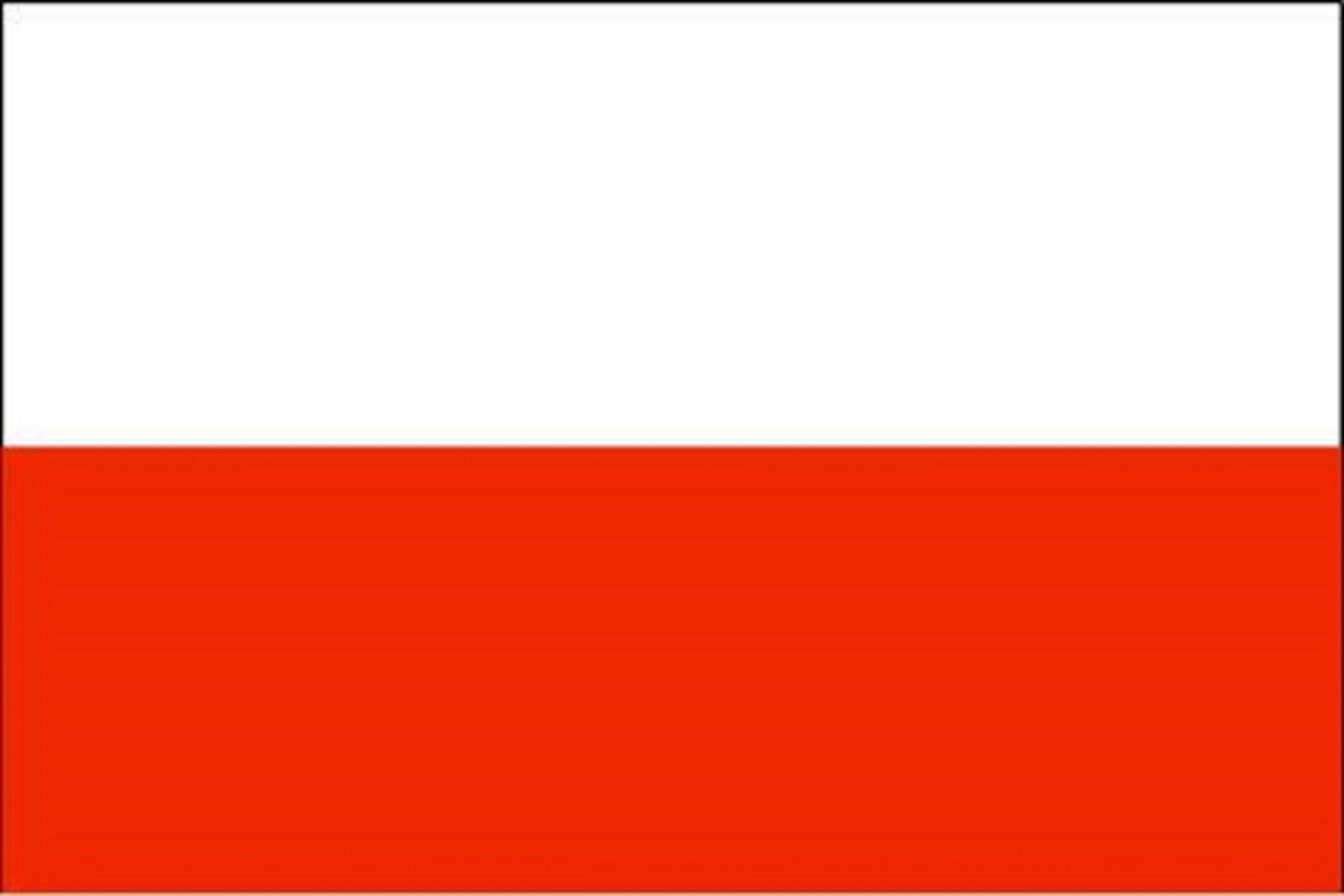 polonia estudiar