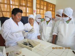 Instituto de Educación Superior Tecnológico Público Ricardo Ramos Plata