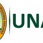 universidad de la amazonia peruana carreras