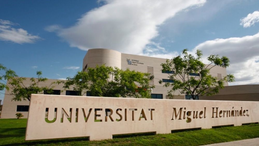 donde esta la Universidad de Elche